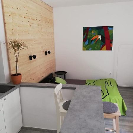 Apartament Studio Apartman Fleiss Samobor Zewnętrze zdjęcie