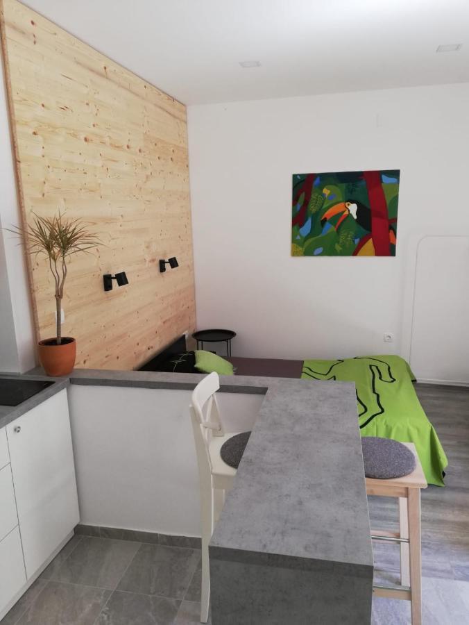 Apartament Studio Apartman Fleiss Samobor Zewnętrze zdjęcie