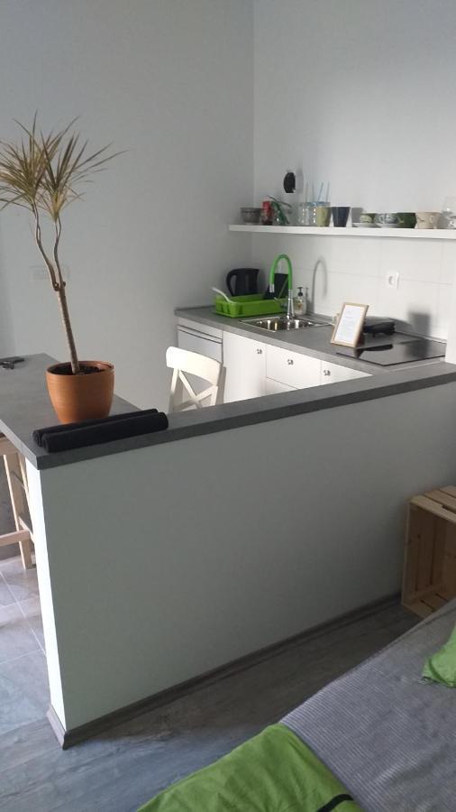 Apartament Studio Apartman Fleiss Samobor Zewnętrze zdjęcie
