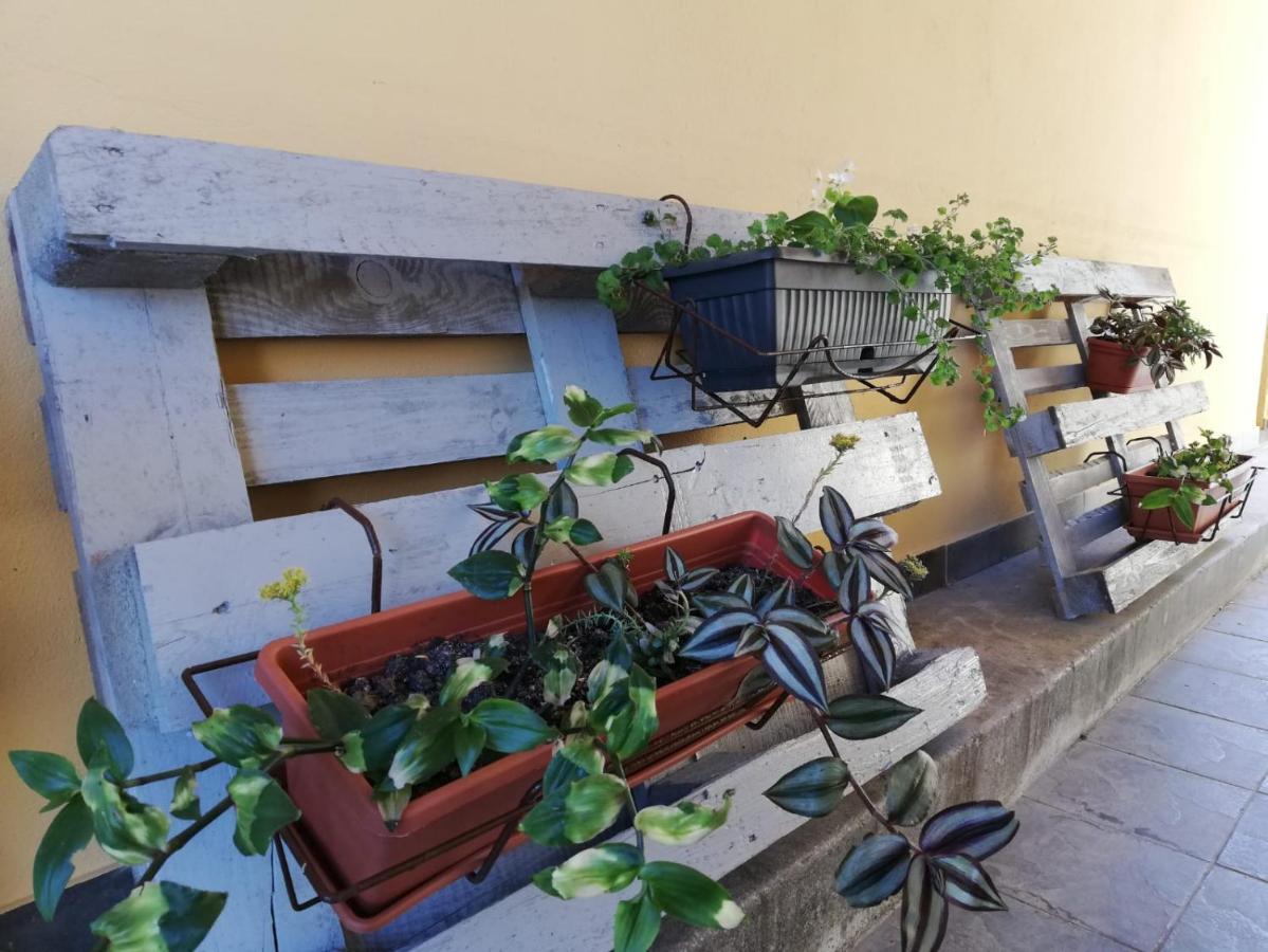 Apartament Studio Apartman Fleiss Samobor Zewnętrze zdjęcie