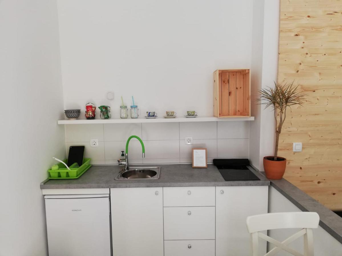 Apartament Studio Apartman Fleiss Samobor Zewnętrze zdjęcie