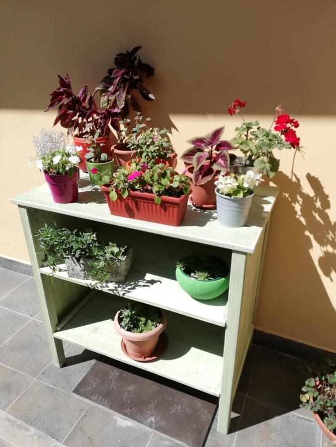 Apartament Studio Apartman Fleiss Samobor Zewnętrze zdjęcie
